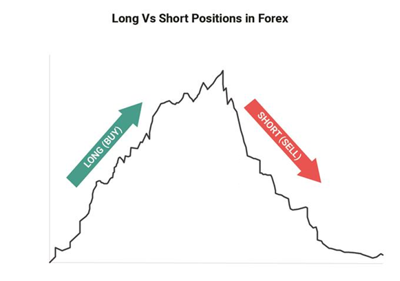 Long vs Short Positions in Forex Trading