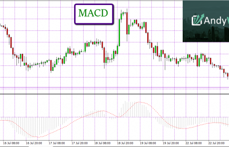 How to Use the MACD Indicator in Your Daily Forex Trading?